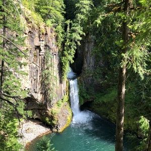 Meet your Posher, Mia